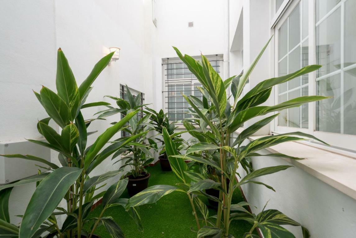 Ml1C-Prime Location Marble Apartment With Patios Málaga Exterior foto